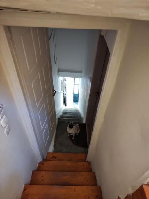 Mary'S Bright Apartment - Corfu Old Town ภายนอก รูปภาพ